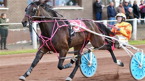 harness racing results|BHRC.
